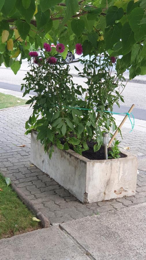 Ferienwohnung "Zum Alten Kuhstall" Oberhausen  Zewnętrze zdjęcie